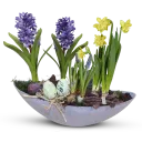 Arrangement in a Modern Container